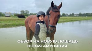 ОБЗОР НА НОВУЮ ЛОЩАДЬ