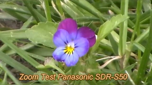 Zoom test Panasonic SDR-50 смотреть онлайн