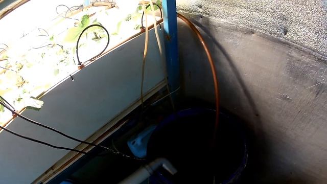 Клубника на гидропонике. Основные узлы или из чего состоит гидропоника. смотреть онлайн