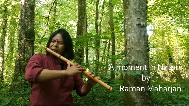 Relaxing Flute Solo | A Moment in Nature | Nepali flute Music | Sunshine flute | Raman flute live смотреть онлайн