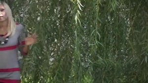 Репортаж о Тамбове и его достопримечательностях.