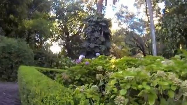 Красивые сад и парк в Буэнос Айресе Другая камера смотреть онлайн