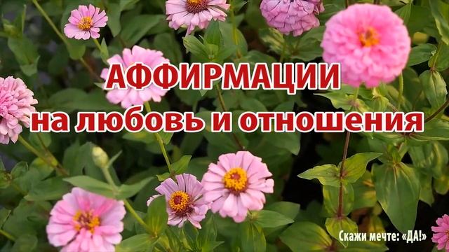 Аффирмации на любовь и отношения смотреть онлайн