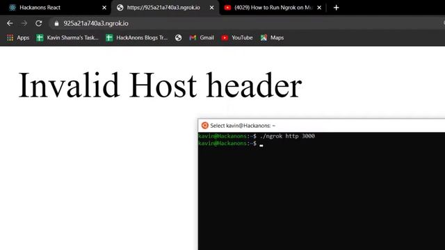 Fix Invalid host header localtunnel on React, Angular смотреть онлайн