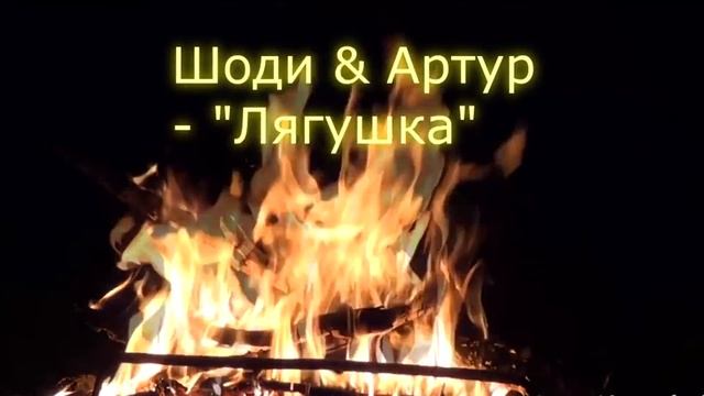 Лягушка.mp4 смотреть онлайн