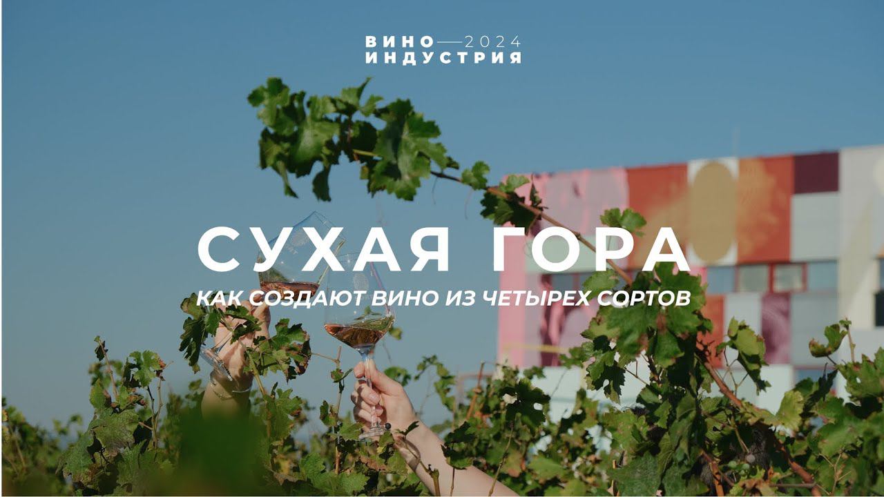 Здесь создают вино всего из четырех сортов. Тур на Винодельню Сухая гора.