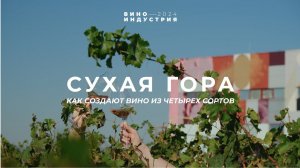 Здесь создают вино всего из четырех сортов. Тур на Винодельню Сухая гора.