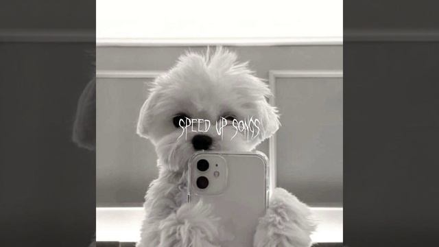 ЛАУР - my life my rules смотреть онлайн