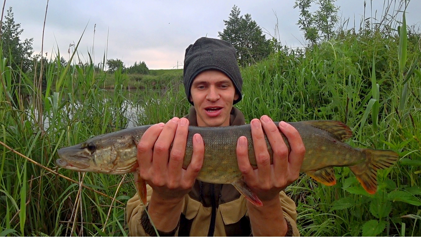 В этом болоте водится ЩУКА