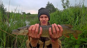 В этом болоте водится ЩУКА