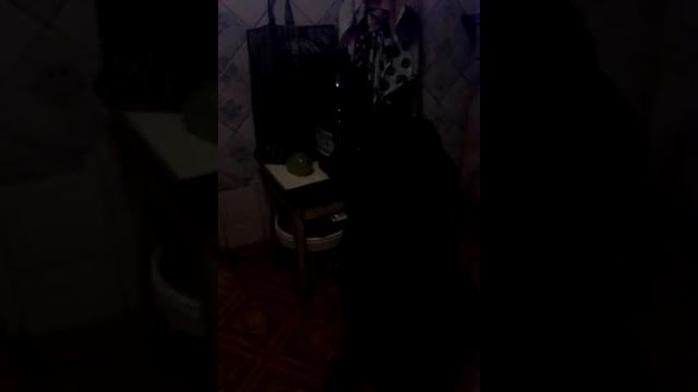 Барселона. Дом Бальо 1. смотреть онлайн