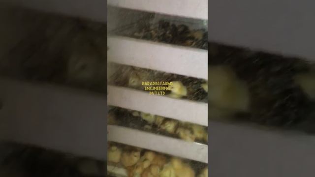 Hatchery Setup Client Feed Back Video