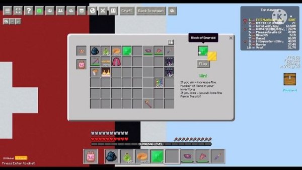 How I Lost The Most Expensive Item In The Game ?! (Minecraft.io)