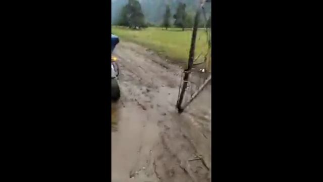 Коровник по среди дороги ))) Путешествуем на Suzuki Intruder 1500 по Горному Алтаю.