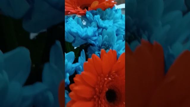 С 8 марта! #праздник #8марта #цветы #хризантема #герберы
