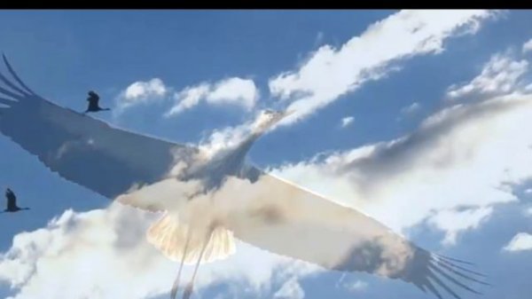 Пропел гудок заводской