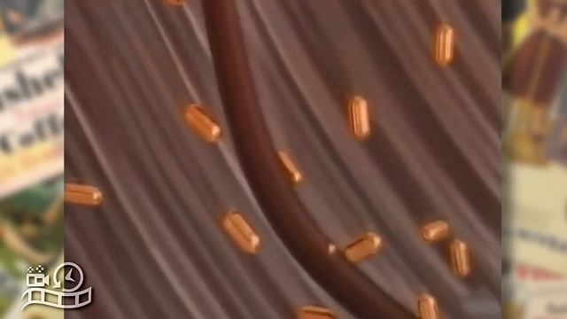 Pantene Pro V With Angie Everhart 1990s Advertisement Australia Commercial Ad