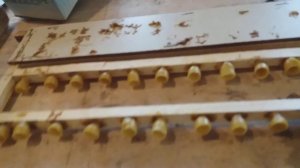 Прививочная рамка, мисочки.