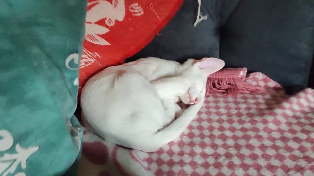 моя безусловная любовь💕 смотреть онлайн