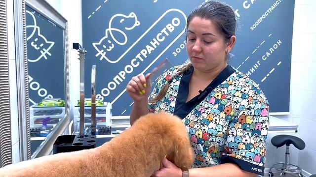 ИСТОРИЯ ОДНОГО ГРУМЕРА ИЛИ КАК ВЫБРАТЬ ПРОФЕССИЮ В 12 ЛЕТ смотреть онлайн