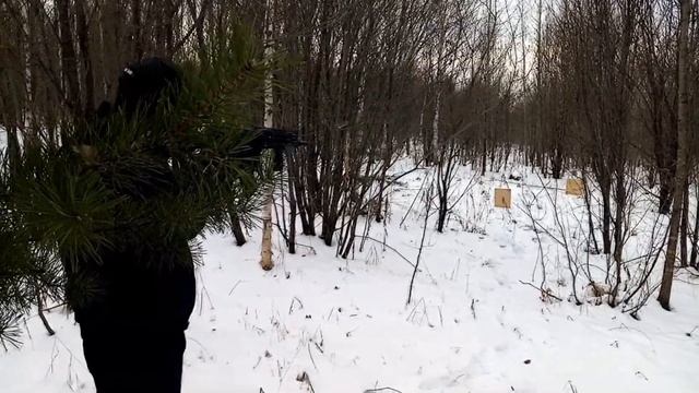 ТЕСТ магазина под укороченный патрон 410 на 55 мм смотреть онлайн