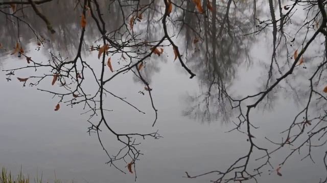 Идет душа смотреть онлайн