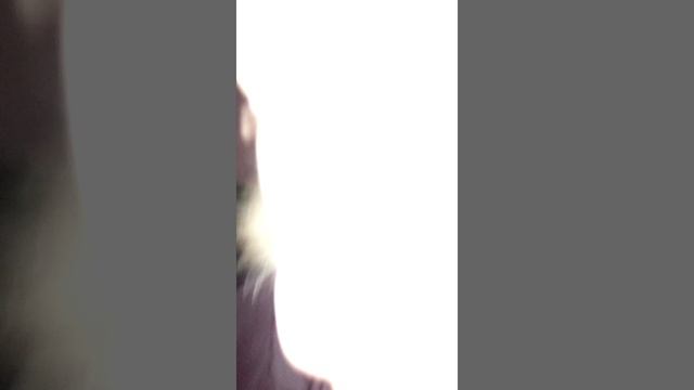 Напал гопник в падике смотреть онлайн