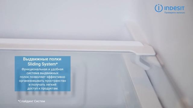 Холодильник Indesit DS 4200 W - обзор модели смотреть онлайн