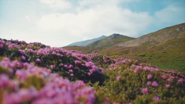 Мантра красоты и ценности себя | Вдохновляющие аффирмации | Лайф-коуч Натали Леру смотреть онлайн