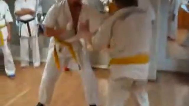 Ashihara Karate Exam смотреть онлайн