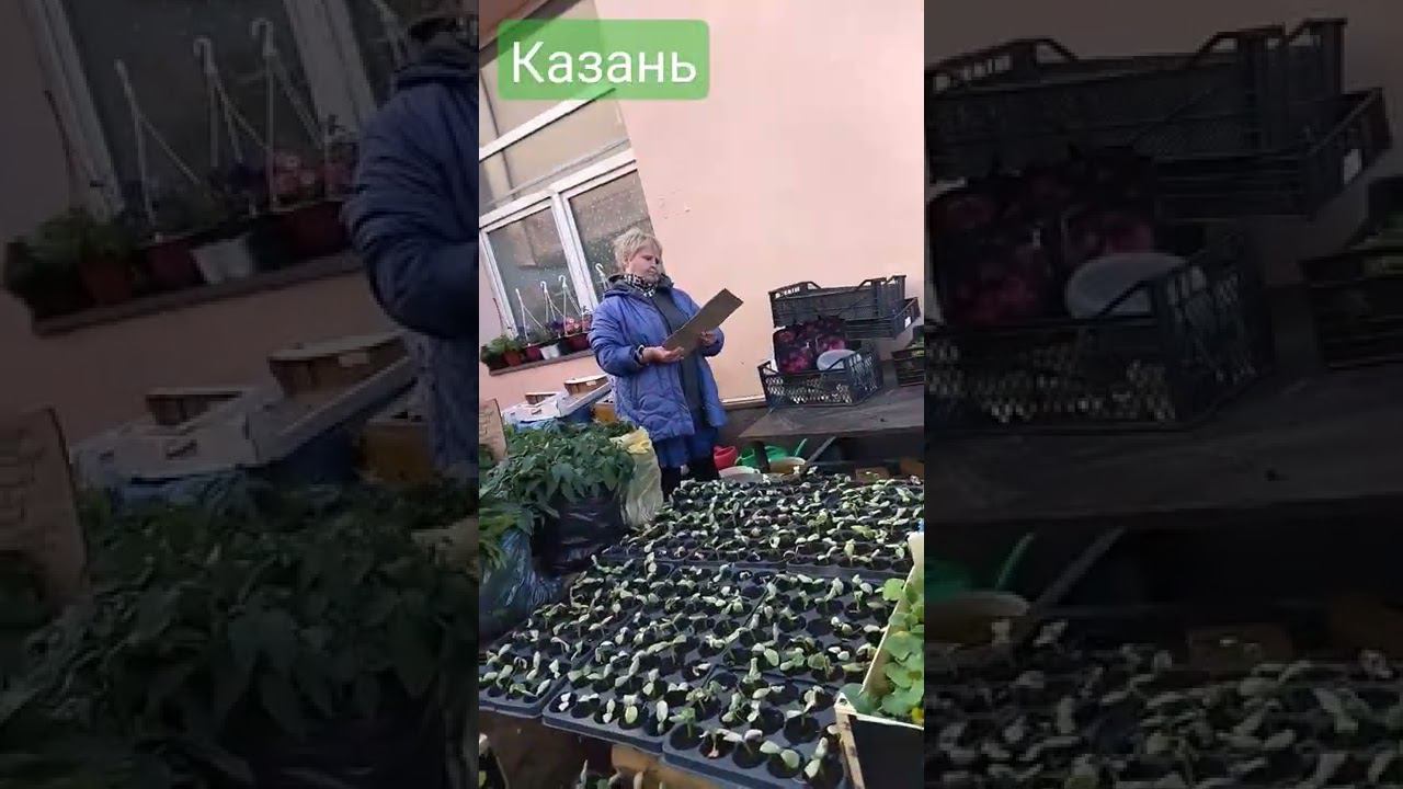 За творогом. Рынок г. Казань. Июнь. смотреть онлайн