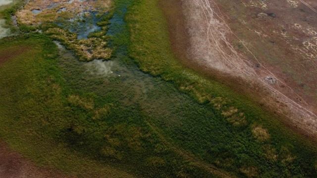 3 дня рыбалки на карпа | Узынколь Vs Новорыбинка | Городские на рыбалке | 11 выпуск