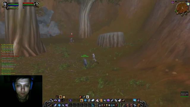 World of Warcraft Classic - Охотник смотреть онлайн