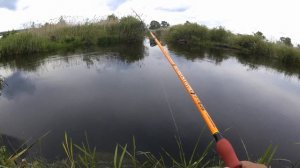 Бюджетный спиннинг ДОЮЙ (VERNA). Краткий обзор, тест, личное мнение.