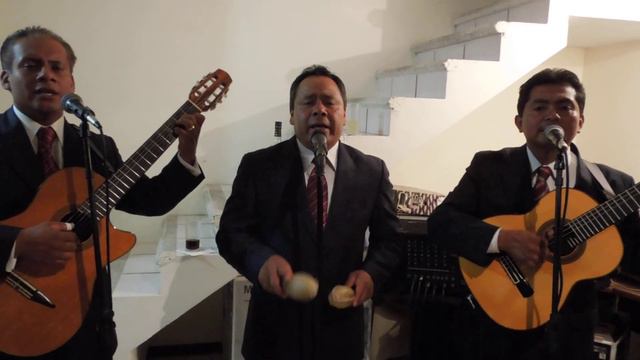 TRIO EMBAJADORES--FLOR DE AZALEA.MOV смотреть онлайн