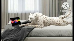 •[WildCraft]• страшилка ◻ СОСЕДКА ◻ Вилд крафт страшилка соседка•