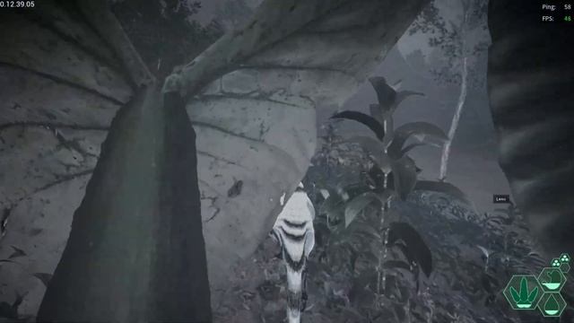 Secret Base In The Dome! | Gateway Public Stress Test | Beipi Gameplay | The Isle Evrima смотреть онлайн