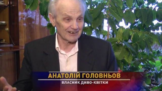 У Киевлянина самый вонючий цветок.Евгений Агарков смотреть онлайн
