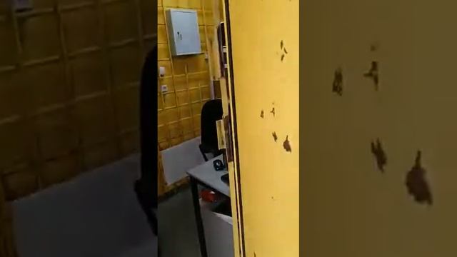 Новокузнецк, Курако 1 смотреть онлайн
