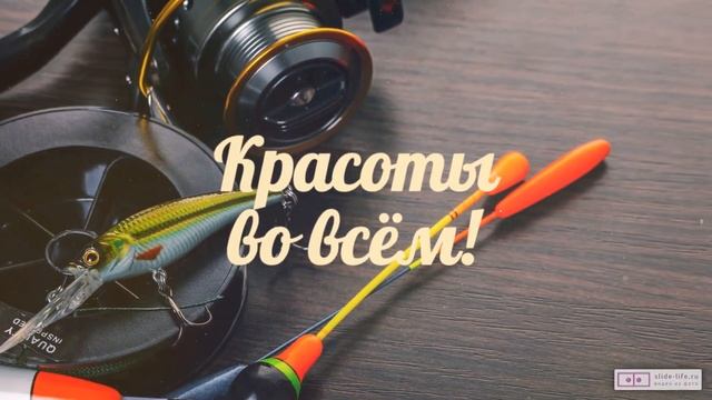 Необычное видео поздравление с днем рождения мужчине 43 года. [Скачать бесплатно] смотреть онлайн