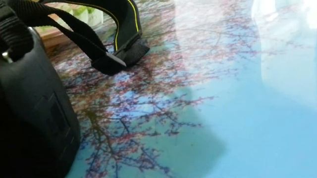 Обзор моего фотоаппарата Nikon D5100 смотреть онлайн