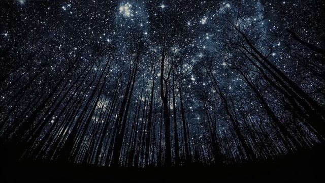 Walk into the stars Instrumental music смотреть онлайн