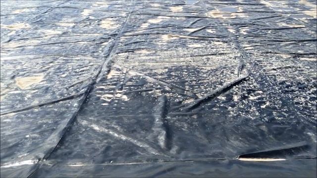 Разведение креветки Ванномей в Крыму смотреть онлайн