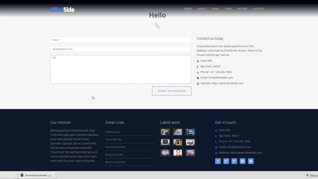 Blindside Responsive Bootstrap 3 Website Template смотреть онлайн