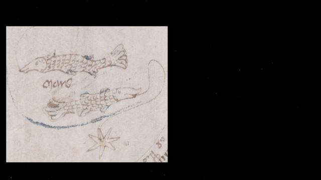 The Voynich Manuscript Analysis: Who Wrote It? смотреть онлайн