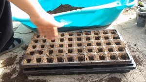 Как быстро и качественно посадить семена в кассеты!!!Выращивание рассады через кассеты!!!