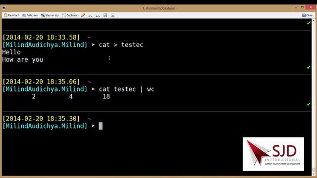 Unix Hindi Tutorial Series Video 6 : How to use wc command of unix. смотреть онлайн
