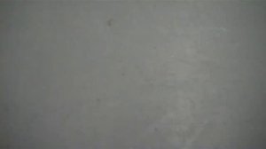 My disney VHS Collection honstonhoube