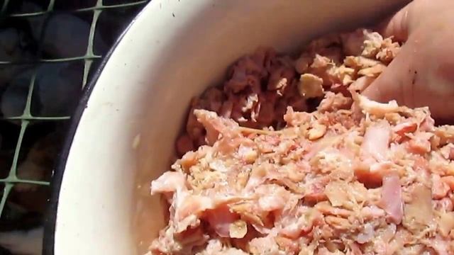 Белок в рационе мускусных уток. смотреть онлайн