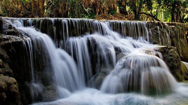 Violin Concerto No. 8 in D major `Adélaïde` KVC 14.05 (Anh. 294a) - Wolfgang Amadeus Mozart